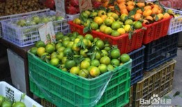 水果摊主爆料怎么做视频,如何制作热门视频攻略